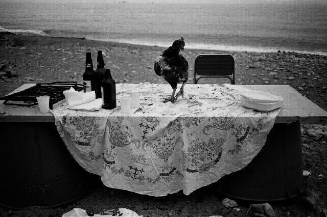 Monochrome, Black-and-white, Monochrome photography, Shore, Beach, Tablecloth, Stock photography, 