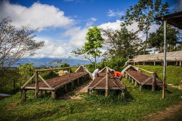 Wood, Cloud, Tree, Rural area, Land lot, Roof, Human settlement, Village, Hill station, Cumulus, 