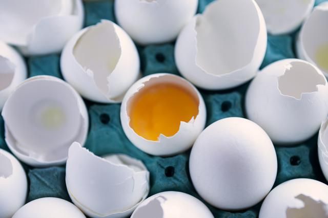 Colorfulness, Ingredient, Egg, Egg, Egg yolk, Still life photography, Collection, Science, 
