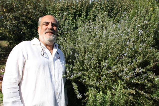 Sleeve, Shrub, Facial hair, People in nature, Beard, Subshrub, Moustache, Wrinkle, Shrubland, Portrait photography, 