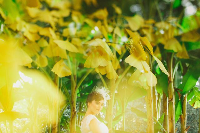 Yellow, Leaf, People in nature, Petal, Sunlight, Spring, Plant stem, 