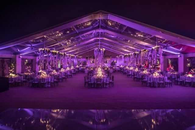 Decoration, Purple, Night, Lavender, Violet, Electricity, Function hall, Hall, Midnight, Banquet, 