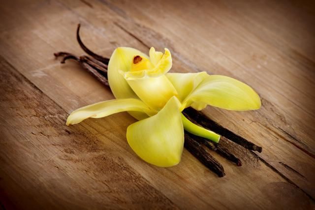 Wood, Yellow, Petal, Flower, Hardwood, Flowering plant, Botany, Terrestrial plant, Still life photography, Kitchen utensil, 