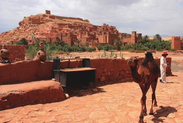 Camel, Landscape, Camelid, Adaptation, Working animal, Soil, Rock, Aeolian landform, Arabian camel, Village, 