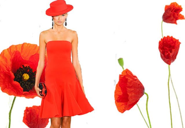 Red, Shoulder, Petal, Dress, Flower, One-piece garment, Costume accessory, Flowering plant, Orange, Day dress, 