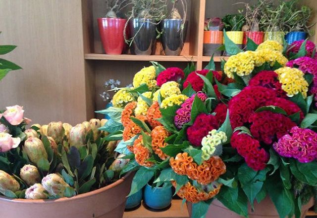 Flower, Flowerpot, Purple, Shelf, Interior design, Shelving, Floristry, Vegan nutrition, Houseplant, Cut flowers, 