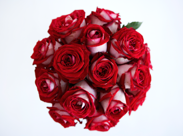 Petal, Bouquet, Flower, Red, Cut flowers, Garden roses, Floristry, Rose family, Flowering plant, Flower Arranging, 