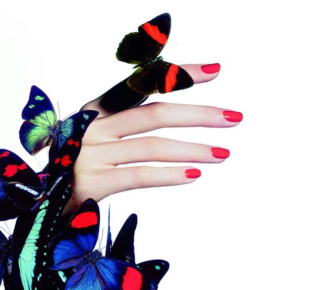 Arthropod, Invertebrate, Insect, Pollinator, Wing, Butterfly, Carmine, Costume accessory, Moths and butterflies, Nail, 
