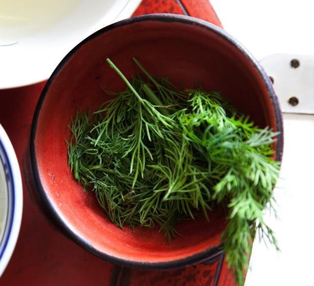 Ingredient, Dishware, Serveware, Coquelicot, Herb, Conifer, Pine family, Bowl, Porcelain, Fir, 