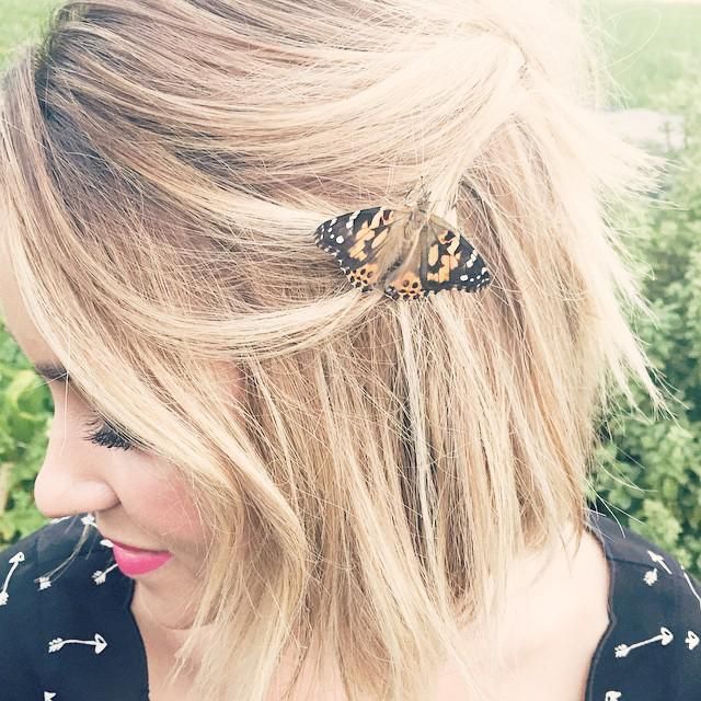 Hairstyle, Insect, Pollinator, Arthropod, Style, Beauty, Blond, Eyelash, Liver, Brown hair, 