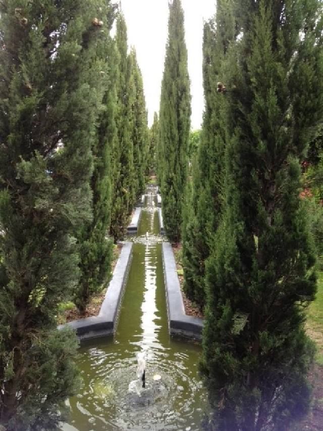 Shrub, Garden, Water feature, Evergreen, thuya, Conifer, Fountain, Pine family, Landscaping, Cypress family, 