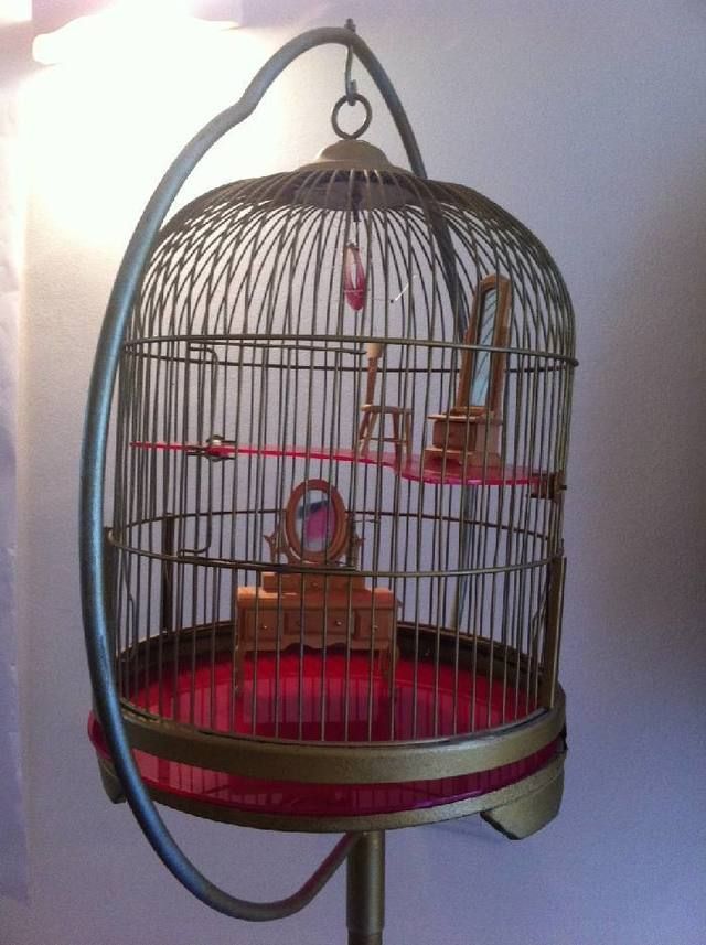 Cage, Bird, Pet supply, Iron, Bird supply, Wing, 