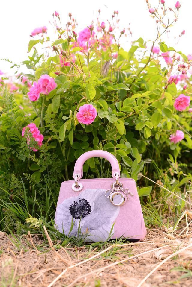 Flower, Bag, Pink, Shrub, Petal, Magenta, Shoulder bag, Purple, Luggage and bags, Flowering plant, 