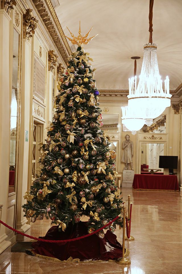 Lighting, Interior design, Christmas decoration, Room, Christmas tree, Floor, Christmas ornament, Interior design, Flooring, Holiday, 