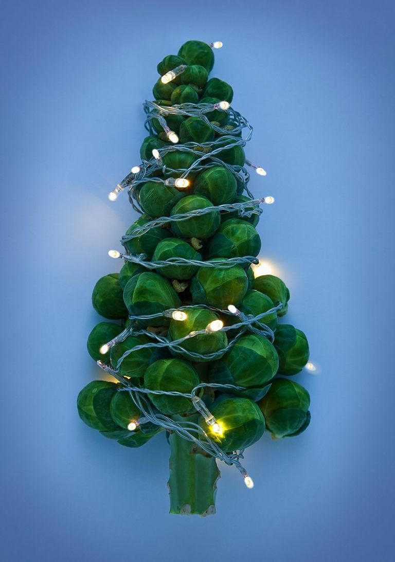 Green, Leaf, Christmas tree, Christmas decoration, Evergreen, Terrestrial plant, Christmas, Holiday, Ornament, Christmas lights, 