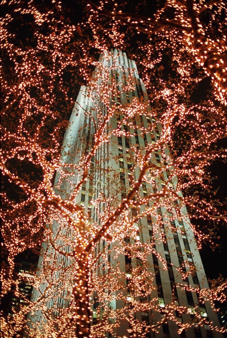 Christmas decoration, Christmas, Midnight, Christmas lights, Christmas tree, Ornament, 