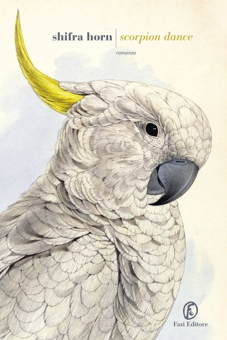 Parrot, Bird, Cockatoo, Vertebrate, Beak, White, Adaptation, Organ, Wing, Art, 