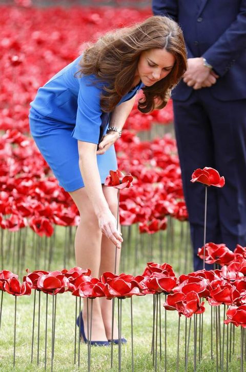 Petal, Red, People in nature, Coquelicot, Brown hair, Long hair, Fence, Pedicel, Poppy family, Cut flowers, 