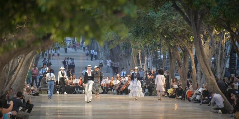 Crowd, Pedestrian, Street, Walking, Ceremony, Tradition, Baggage, Gown, Wedding dress, Street performance, 