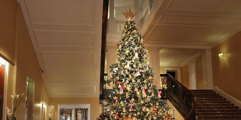 Lighting, Stairs, Interior design, Room, Property, Christmas decoration, Christmas tree, Home, Interior design, Ceiling, 