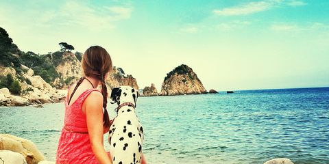 In Vacanza Con Il Cane Hotel E Spiagge A 4 Zampe Per I