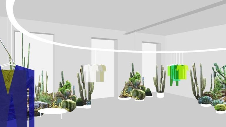 Green, Terrestrial plant, Design, San Pedro cactus, Acanthocereus tetragonus, Animation, Houseplant, Cactus, 