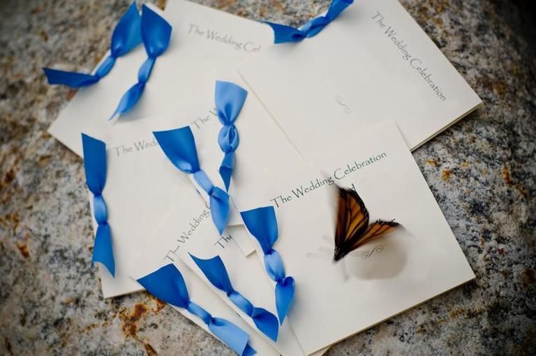 Blue, Pollinator, Paper product, Electric blue, Insect, Arthropod, Cobalt blue, Paper, Moths and butterflies, Butterfly, 