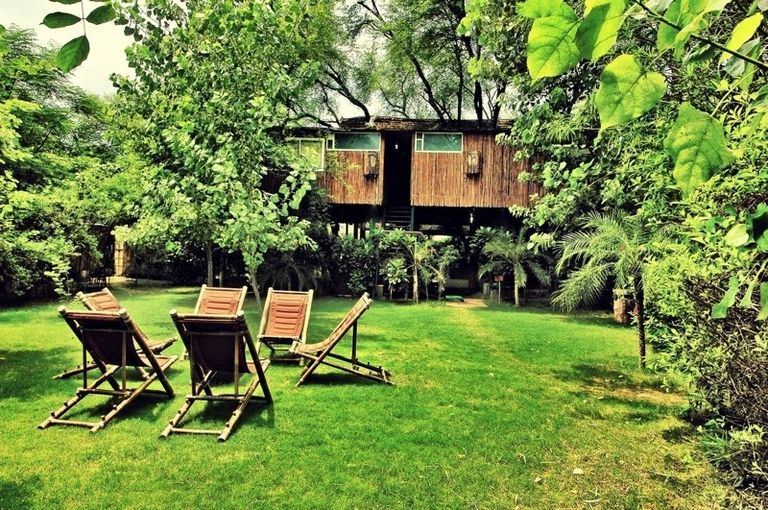 Nature, Wood, Green, Woody plant, Outdoor furniture, House, Rural area, Garden, Log cabin, Tree house, 