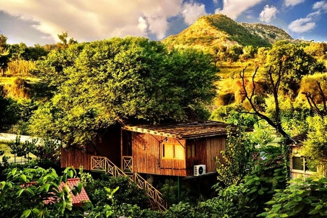 Wood, Vegetation, Landscape, House, Rural area, Log cabin, Roof, Hut, Shack, Home, 