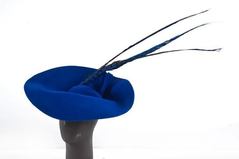 Blue, Electric blue, Azure, Cobalt blue, Natural material, Costume accessory, Feather, Balance, 