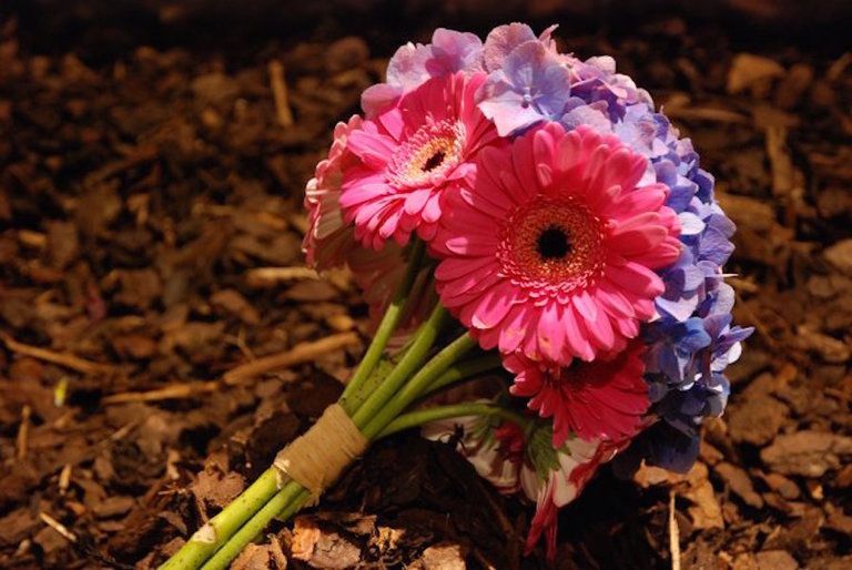 Petal, Flower, Pink, Floristry, Cut flowers, Bouquet, Botany, Flowering plant, Colorfulness, Flower Arranging, 