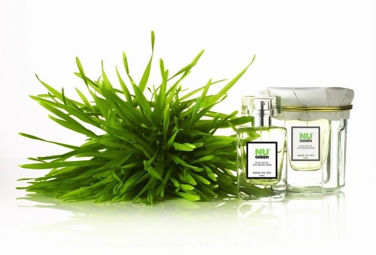 Green, Liquid, Green algae, Transparent material, Cosmetics, Solvent, Wheatgrass, 