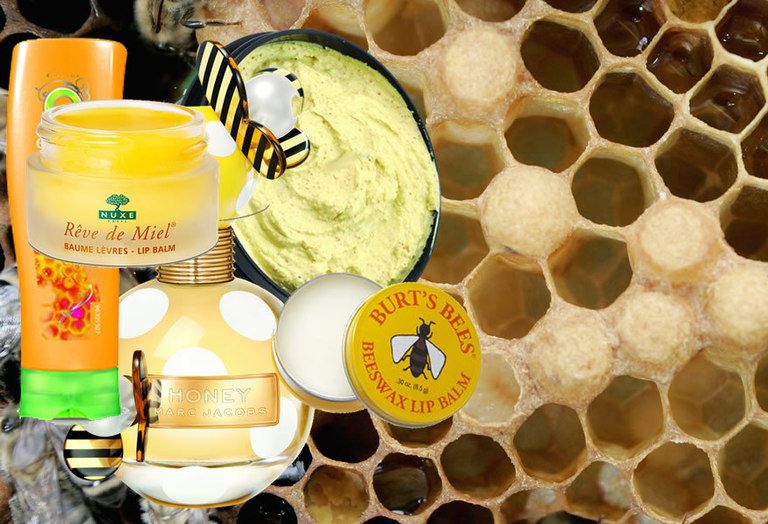 Yellow, Beehive, Pattern, Pollinator, Honeybee, Insect, Natural material, Invertebrate, Arthropod, Honeycomb, 