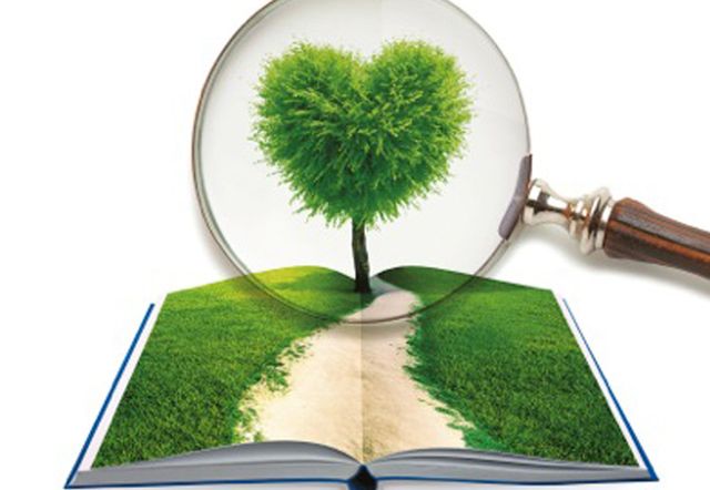 Green, Grass, Leaf, Woody plant, Magnifier, Publication, Book, Magnifying glass, Tool, Graphics, 