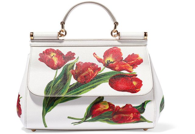 Red, Fashion accessory, Bag, Shoulder bag, Carmine, Flowering plant, Material property, Fruit, Coquelicot, Rose family, 