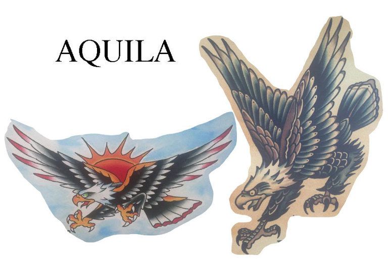 Bird, Wing, Art, Symbol, Feather, Beak, Graphics, Illustration, Falconiformes, Accipitridae, 