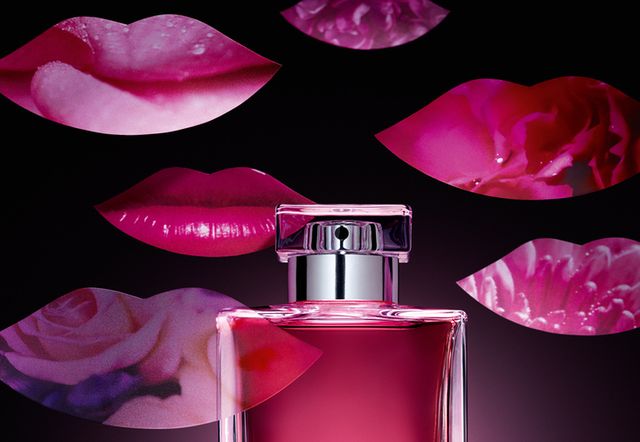 Fluid, Liquid, Perfume, Magenta, Purple, Petal, Pink, Red, Lipstick, Violet, 