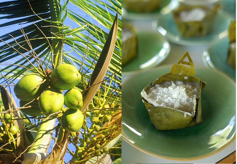 Leaf, Ingredient, Fruit, Produce, Coconut, Fruit tree, Natural material, Serveware, Gemstone, Natural foods, 