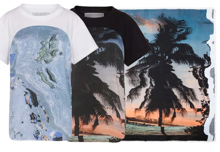 Sleeve, Sweater, Clothes hanger, Active shirt, Arecales, Long-sleeved t-shirt, Palm tree, Top, Tropics, Painting, 