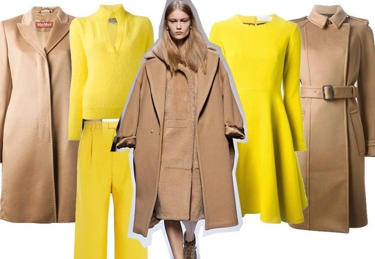 Yellow, Brown, Sleeve, Collar, Coat, Textile, Outerwear, Pattern, Jacket, Khaki, 