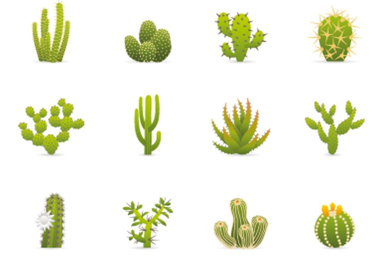 Green, Organism, Leaf, Botany, Terrestrial plant, Graphics, Non-vascular land plant, Vascular plant, Clubmoss, Green algae, 