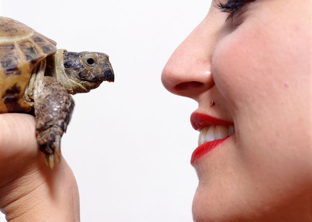 Lip, Cheek, Finger, Reptile, Skin, Chin, Eyebrow, Turtle, Eyelash, Tortoise, 