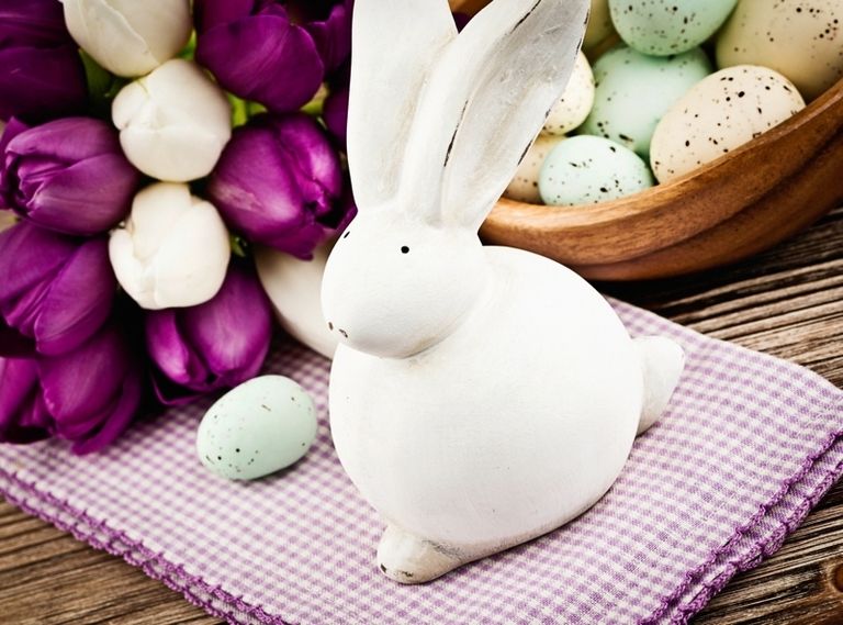 Rabbit, Purple, Rabbits and Hares, Violet, Ingredient, Toy, Produce, Domestic rabbit, Lavender, Home accessories, 