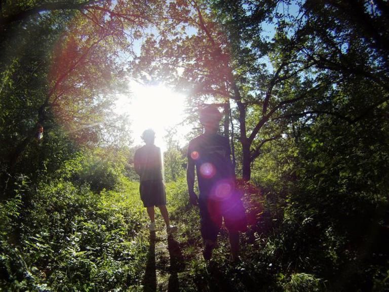 Branch, Leaf, People in nature, Sunlight, Light, Forest, Lens flare, Morning, Backlighting, Old-growth forest, 