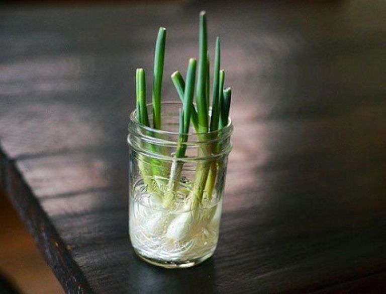 Glass, Produce, Still life photography, Transparent material, Vegetable, Allium, Plant stem, Asparagus, 