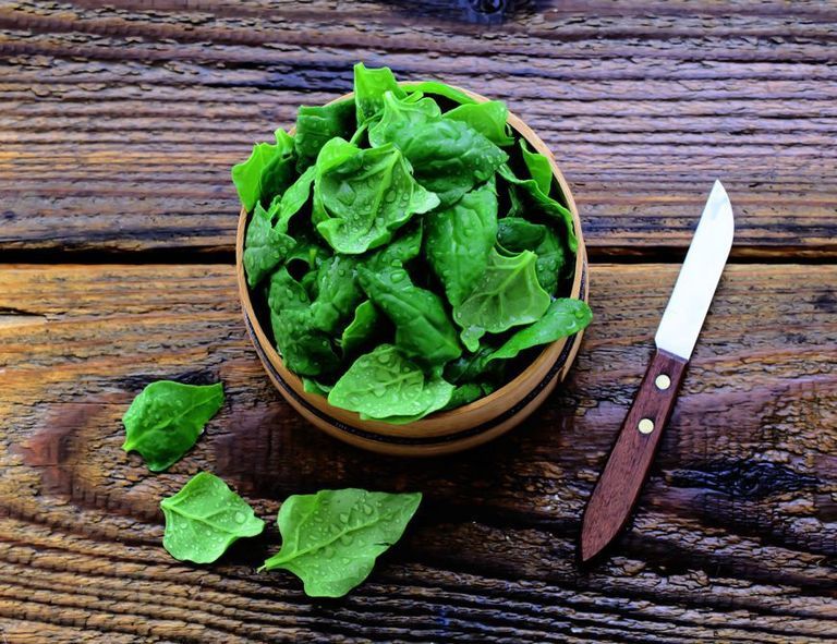 Wood, Leaf, Leaf vegetable, Ingredient, Cutlery, Kitchen utensil, Hardwood, Knife, Herb, Blade, 