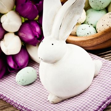 Rabbit, Purple, Rabbits and Hares, Violet, Ingredient, Toy, Produce, Domestic rabbit, Lavender, Home accessories, 
