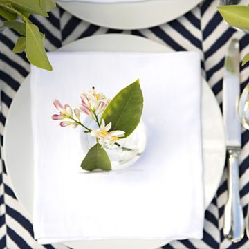 Yellow, Petal, White, Leaf, Dishware, Flower, Serveware, Home accessories, Flowering plant, Natural material, 