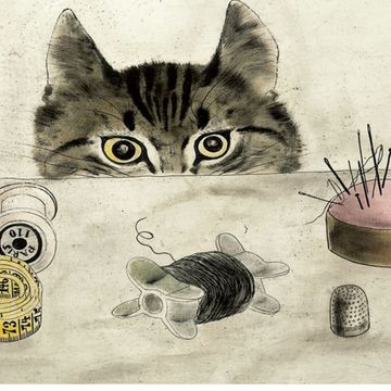 Organism, Whiskers, Small to medium-sized cats, Iris, Felidae, Cat, Carnivore, Illustration, Drawing, Snout, 
