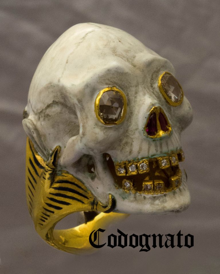 Bone, Skull, Yellow, Jaw, Font, Tooth, Anthropology, Macro photography, Skeleton, Human anatomy, 